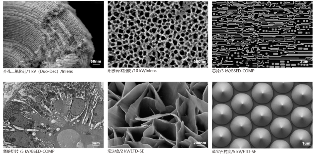 中國科大SEM5000X順利通過(guò)驗收，繼續免費試運行