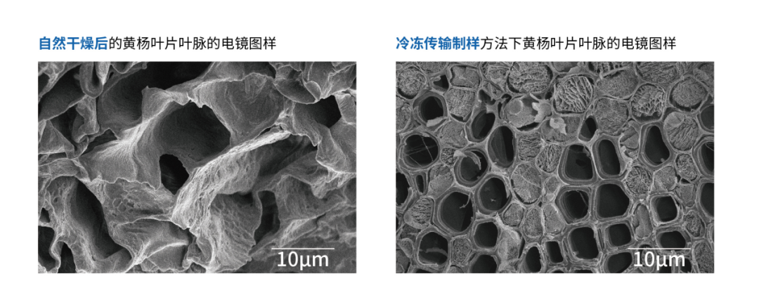 【解決方案】“凍