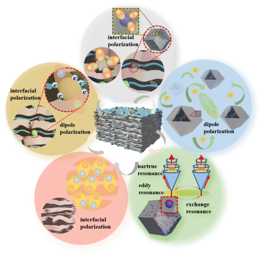 國儀量子掃描電鏡助力MXene基吸波材料實現低填充薄厚度寬帶高性能微波吸收