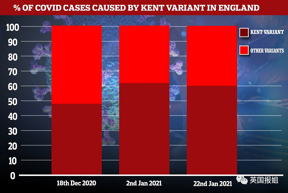 英国首相曝变异毒株致死率更高！更可怕的毒株已在南非、巴西出现…（组图） - 13
