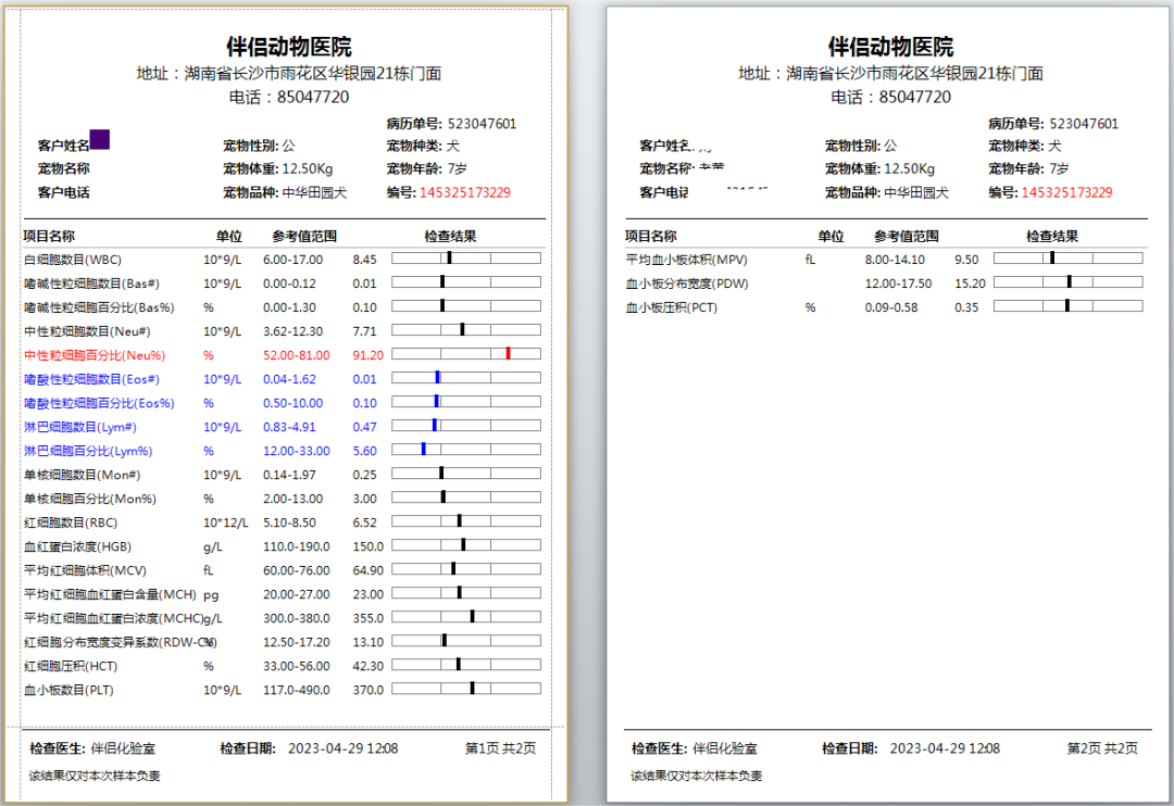动物拍片腹部怎么摆【病例分享】犬-外科-股骨头切除术_https://www.jmylbn.com_新闻资讯_第5张