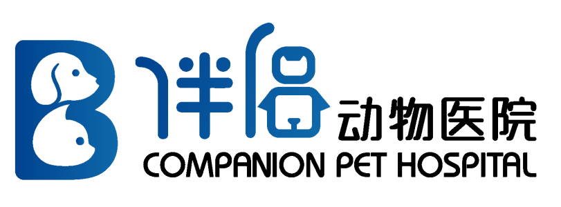 口腔光固化灯是什么光【病例分享】猫-牙科-活髓治疗_https://www.jmylbn.com_新闻资讯_第46张