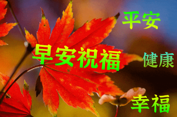 只有今天的健康，才有明天的幸福！