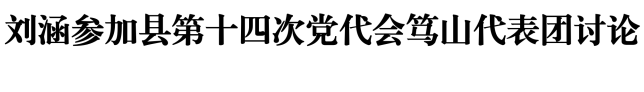 刘涵参加县第十四次党代会笃山代表团讨论