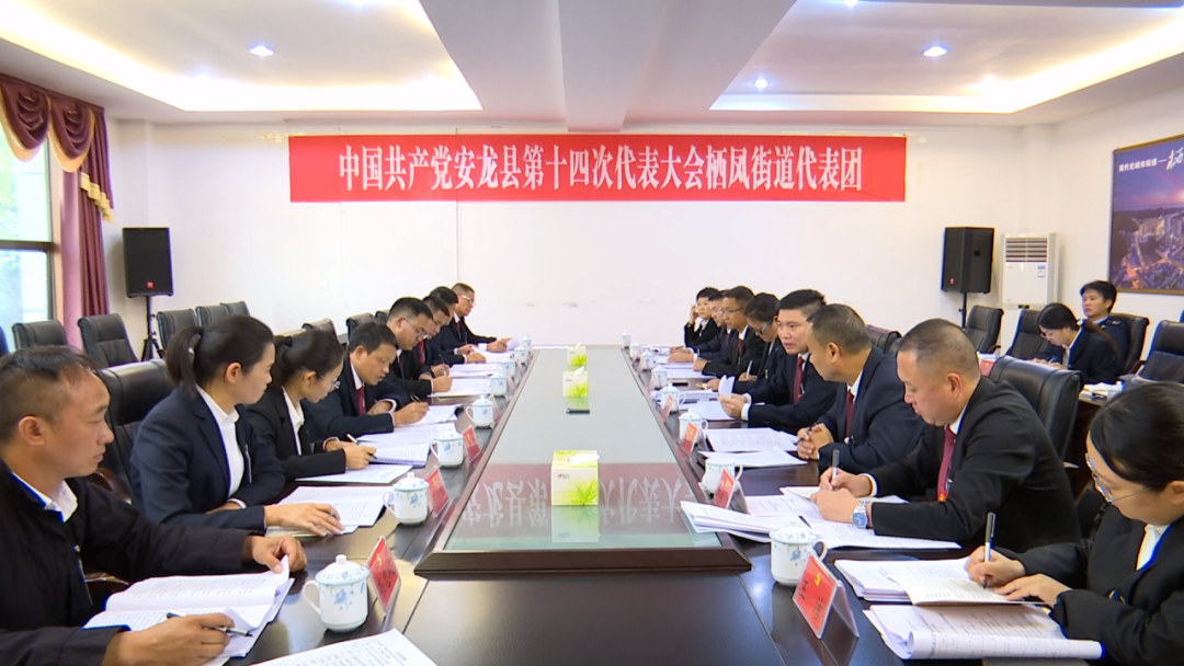 张明景参加县第十四次党代会栖凤街道代表团讨论
