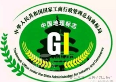 地理标志在我国的发展历程