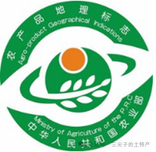 地理标志在我国的发展历程