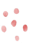 43aa65513e6201bb715da3570e00039c.png
