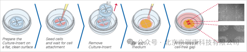 culture Insert使用示意图