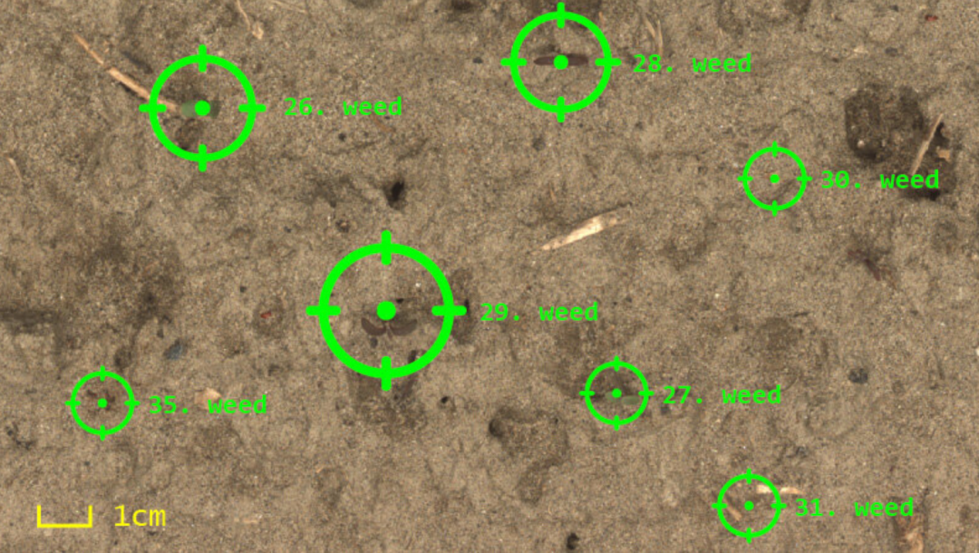 【6/14更新】除了火焰除草技术，激光除草是什么体验？的图6