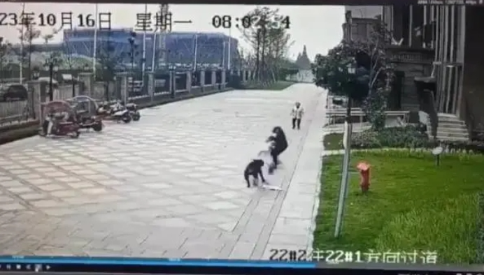 动物门诊用什么x光机被动物咬伤如何处理？市中心医院动物致伤门诊24小时接诊_https://www.jmylbn.com_新闻资讯_第3张