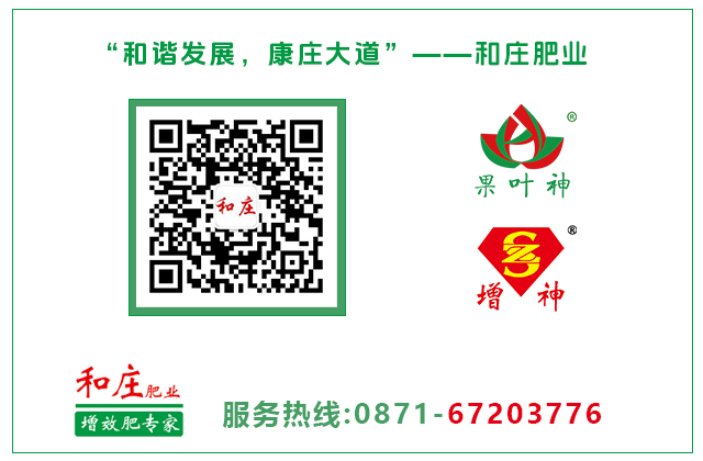 和庄肥业 昆明有机肥厂 云南肥料 云南尿素