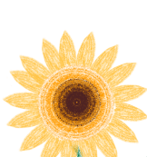 f8cbfdba-563a-4024-8b4f-00fb7741b1ce.png