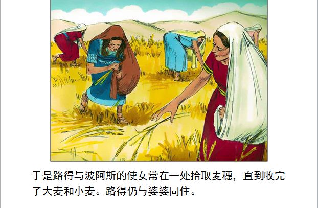 旧约圣经图表——路得记(图14)