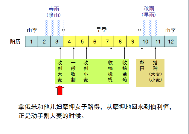 旧约圣经图表——路得记(图9)