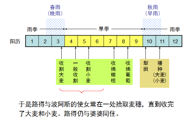旧约圣经图表——路得记(图15)