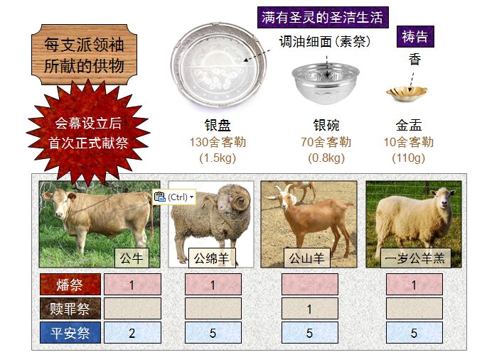 旧约圣经图表——民数记(图14)