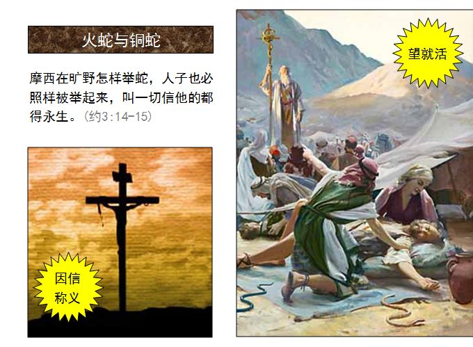 旧约圣经图表——民数记(图39)