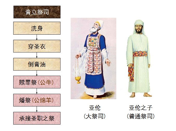 旧约圣经图表——民数记(图15)