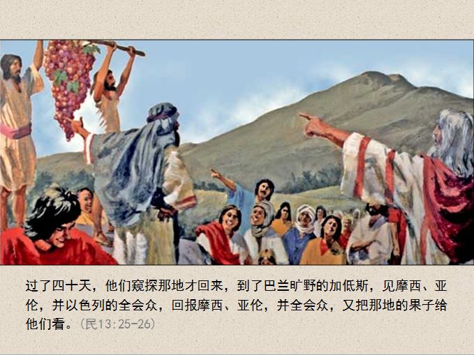 旧约圣经图表——民数记(图22)