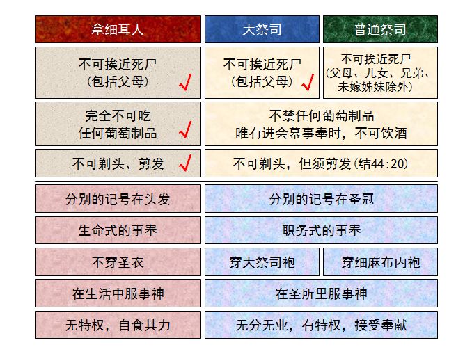旧约圣经图表——民数记(图12)
