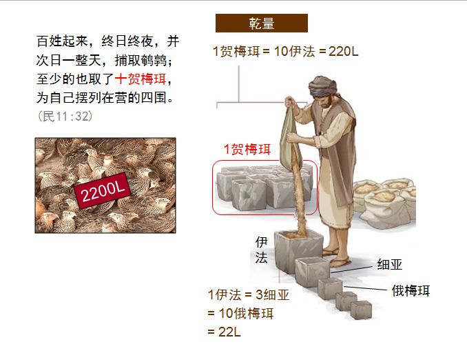 旧约圣经图表——民数记(图19)