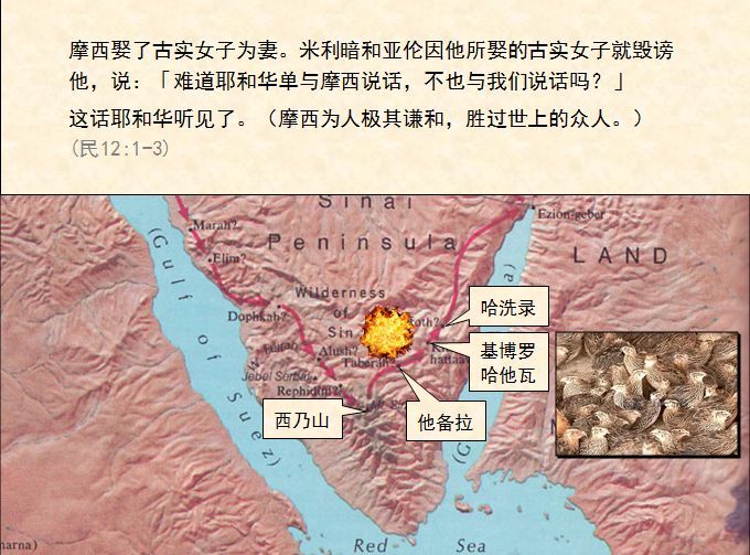 旧约圣经图表——民数记(图20)