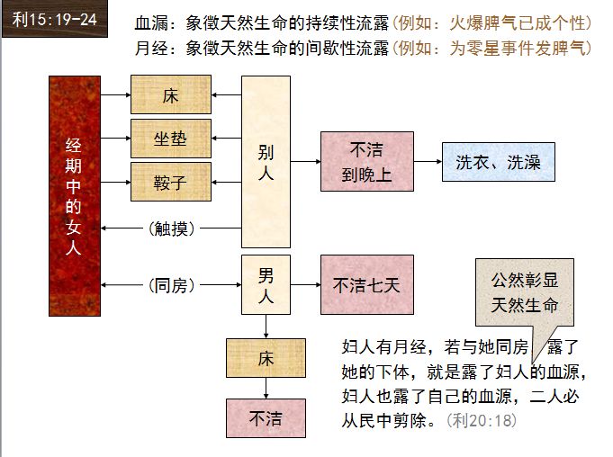 旧约圣经图表——利未记(图36)