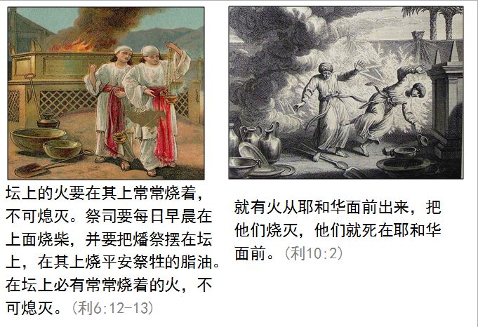 旧约圣经图表——利未记(图16)