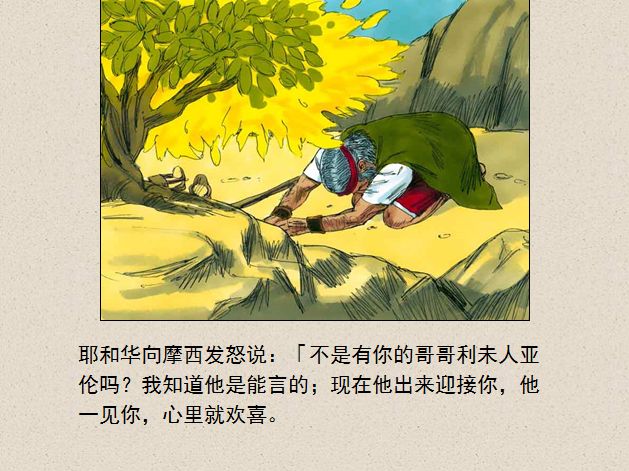 旧约圣经图表——出埃及记(图10)