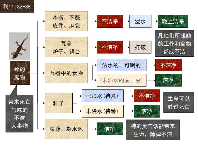 旧约圣经图表——利未记(图25)