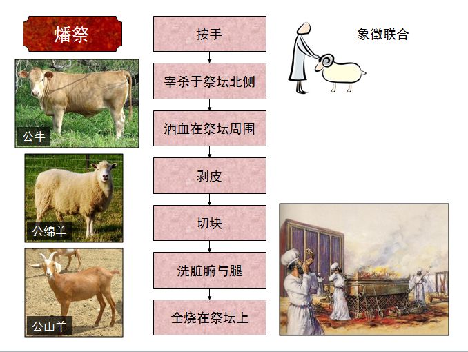 旧约圣经图表——利未记(图3)