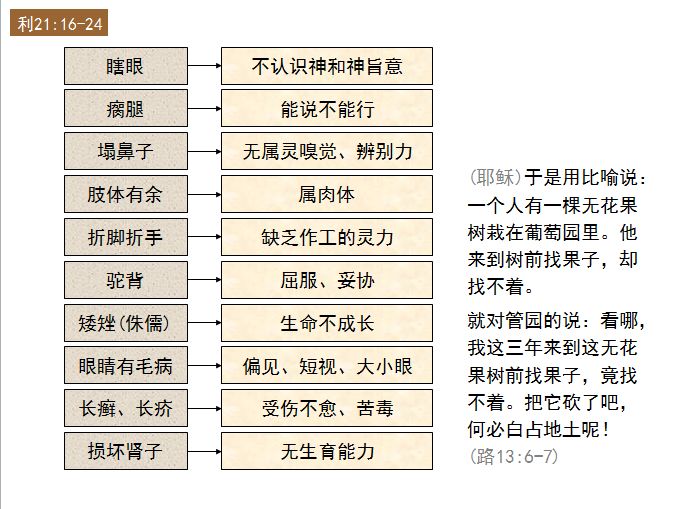 旧约圣经图表——利未记(图43)