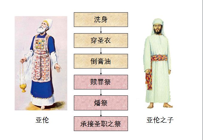 旧约圣经图表——利未记(图13)