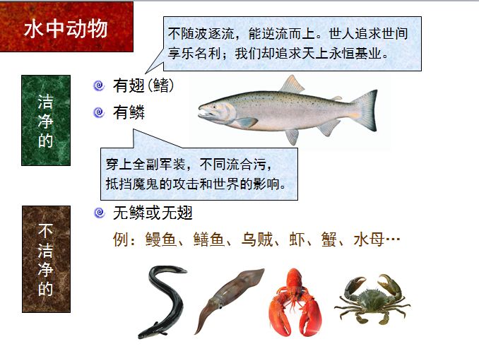 旧约圣经图表——利未记(图19)