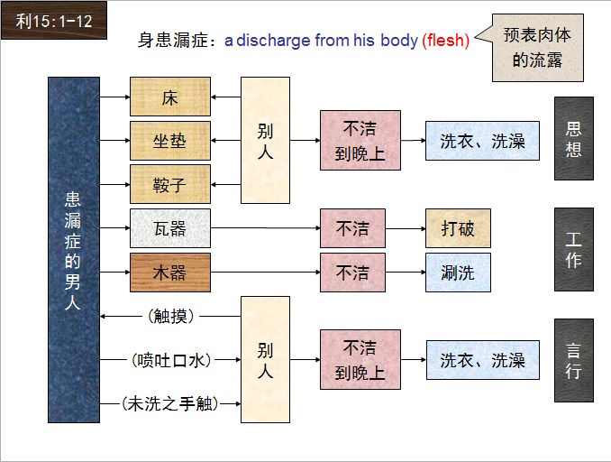 旧约圣经图表——利未记(图34)