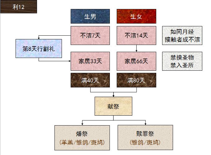 旧约圣经图表——利未记(图26)