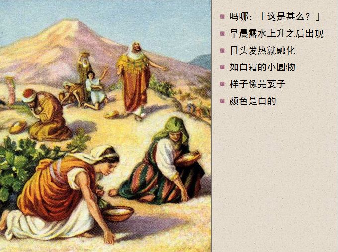 旧约圣经图表——出埃及记(图21)