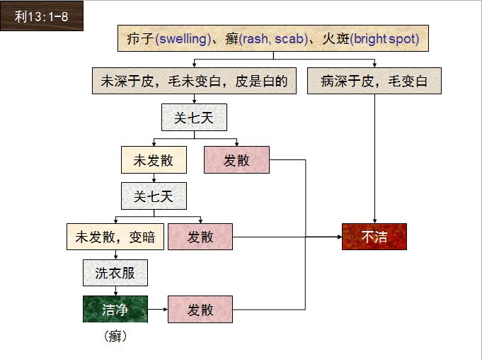 旧约圣经图表——利未记(图27)