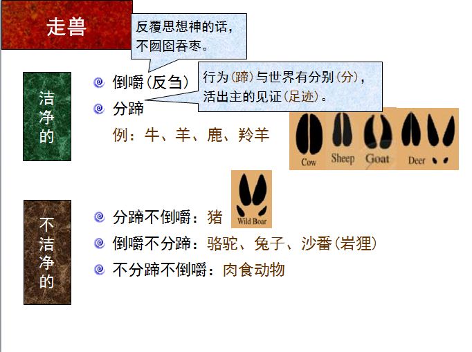 旧约圣经图表——利未记(图18)
