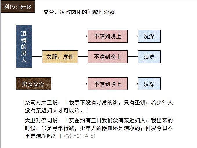 旧约圣经图表——利未记(图37)
