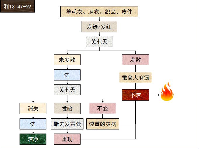 旧约圣经图表——利未记(图30)