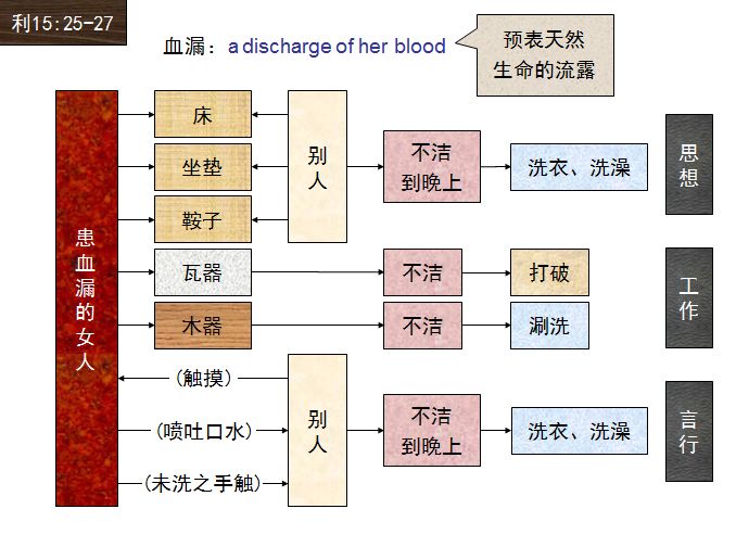 旧约圣经图表——利未记(图35)