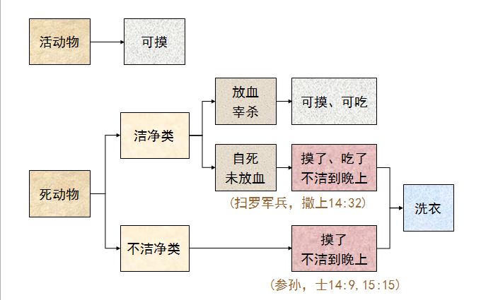 旧约圣经图表——利未记(图24)