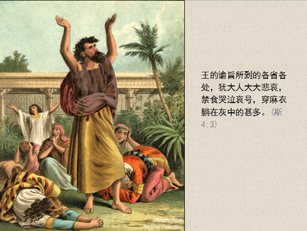 圣经图表——《以斯帖记》(图9)