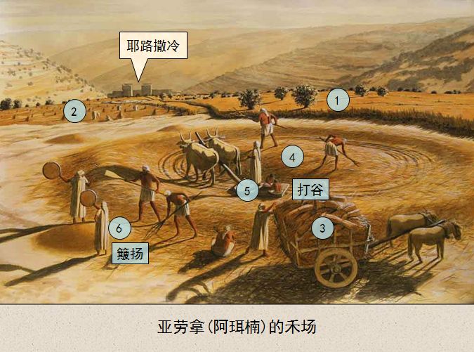 旧约圣经图表——撒母耳记下(图43)