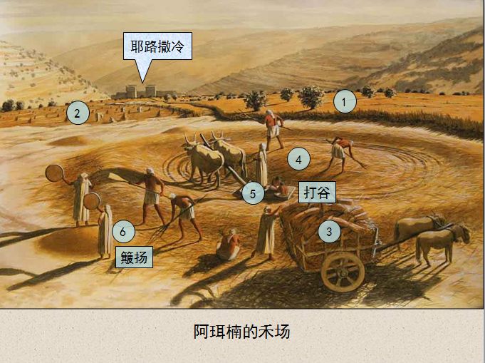 圣经图表——《历代志上》(图31)