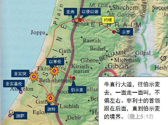 旧约圣经图表——撒母耳记上(图20)