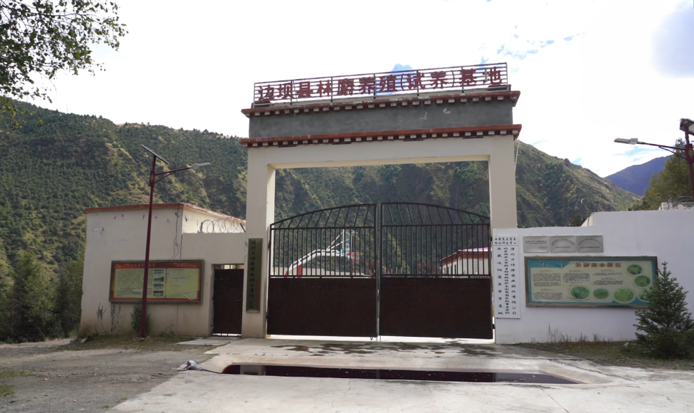 林麝养殖基地.png
