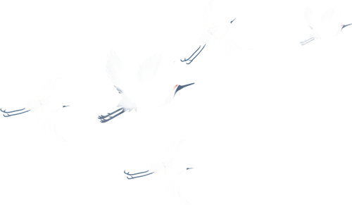 2026清明节放假通知(图7)